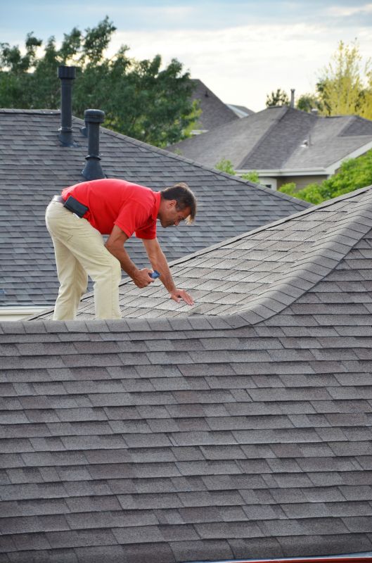 Leaking Roof Inspection