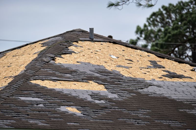 Assessing Shingle Condition